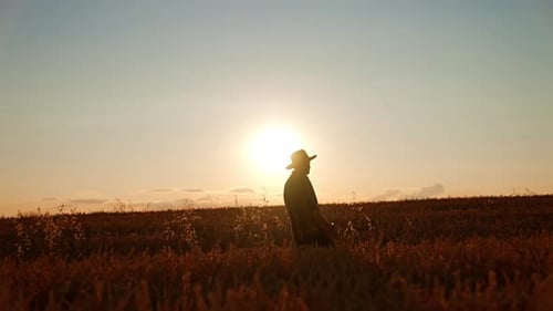 Side view silhouette of a man in hat walking by the field. Farmer in plantation at sunset.
