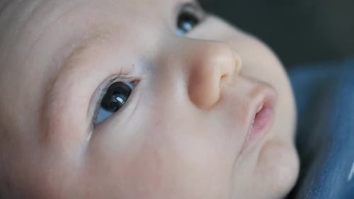 Closeup of Newborn Baby Face Portrait in Macro