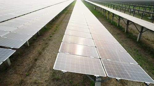 Industrial Solar Power Plant Station Ecology Solar Solar Panels in Field