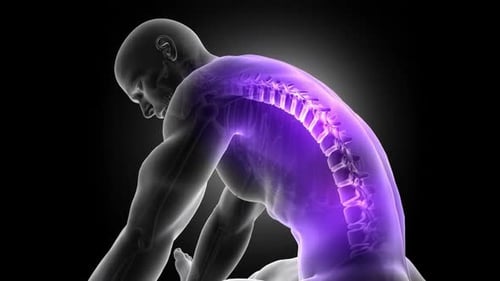 Human Spine Pain Medical Animation Loop