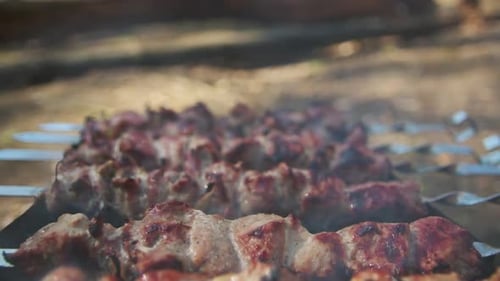 Close Up Smoked Bbq Cooking on Barbecue Grill Outdoor. Macro of Pork