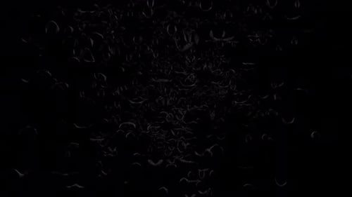 Bat Flock In Pack Kamera