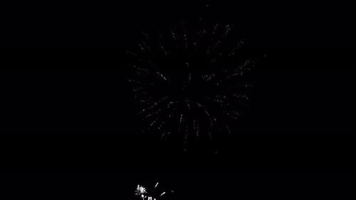 Rising view of bright white crackle and peony style fireworks against the night sky with no stars