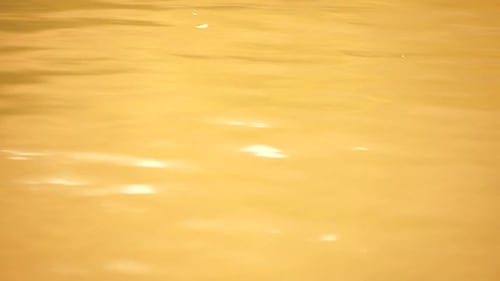 Sun Reflecting on Sparkling Sea Lake Water Surface Ocean at Sunset Sunrise Sunrays Flickering in