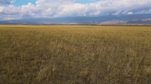 Aerial View of a Desert Arid Valley with Dried Grass