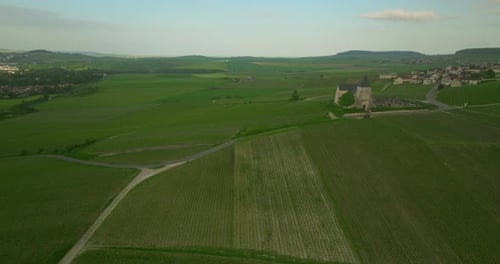 Drone Flies Over Green Vineyards Production of Wine From Grapes in France Cinematic Aerial Footage