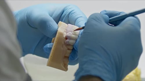 Dental Mold Fine Detail Brushwork Close Up