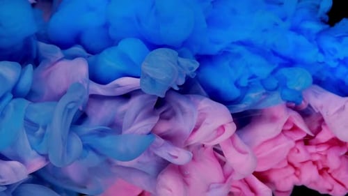 Swirling Pink and Blue Ink in Water