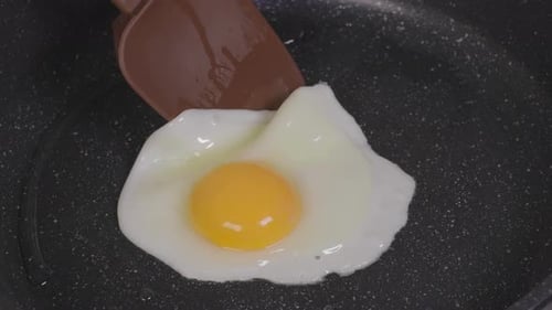 Turn The Egg