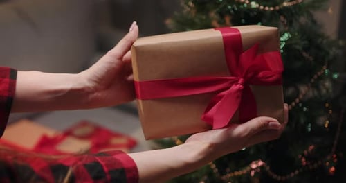 Woman Holding Christmas Gift Near Decorated Christmas Tree