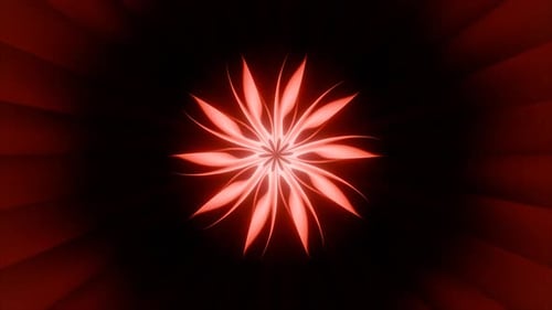 Shiny Flower Animation 4 K Vj Loop Hypnotic Motion Background Red