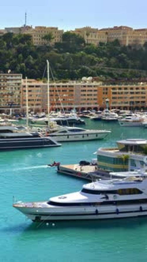 Aerial view of boats docked in the Monaco Marina. Vertical