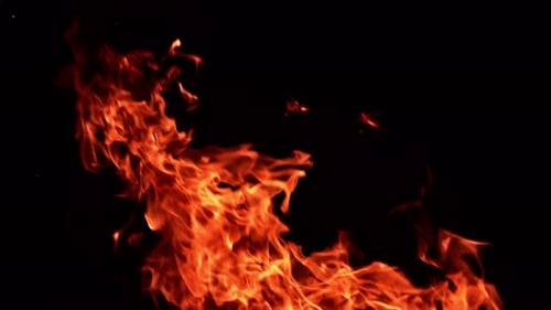 Raging fire flames dancing in the darkness. Orange flame rising and stretching up. Close up.