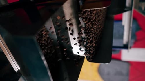 Vertical Video Close Up Coffee Roasting Factory Worker Stands Near the Roasting Machine Pouring