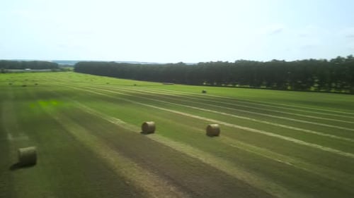 Round Hay Bales on the Green Field