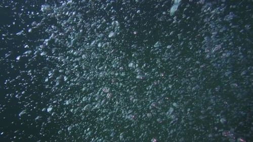 Bubbles Rising underwater