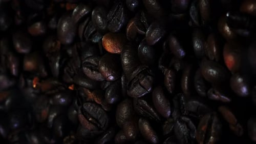Seeds of coffee, close up.