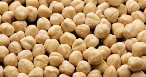 Pile of shelled Hazelnuts Close Up