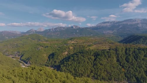 Drone Video Footage of Green Trees on a Hill Against a Blue Sky