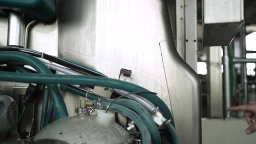 Cow milking system. Atomatiс dairy robot for milking cows at dairy farm
