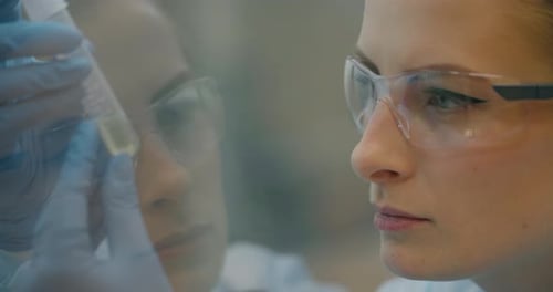 Female Scientist Examining Sample in Laboratory, Close Up