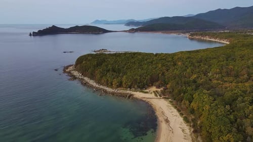 Island Oasis in Ocean with Lush Trees Surrounded By Water and Natural Beauty