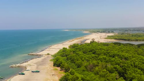 Sea Coast with a Beach