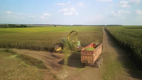 Ensileuse, hachage du maïs pour l'ensilage
