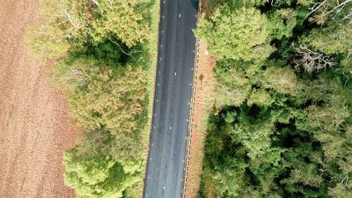 Top down view of straight highway with vegetation on both sides