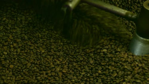 Coffee Beans Being Roasted in Machine