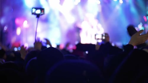 Enthusiastic Crowd at Live Concert Clapping and Cheering