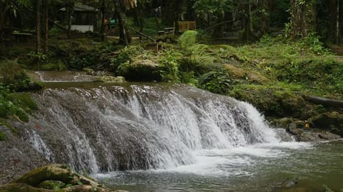 Tranquil Forest Waterfall Surrounded By Greenery Nature and Serenity