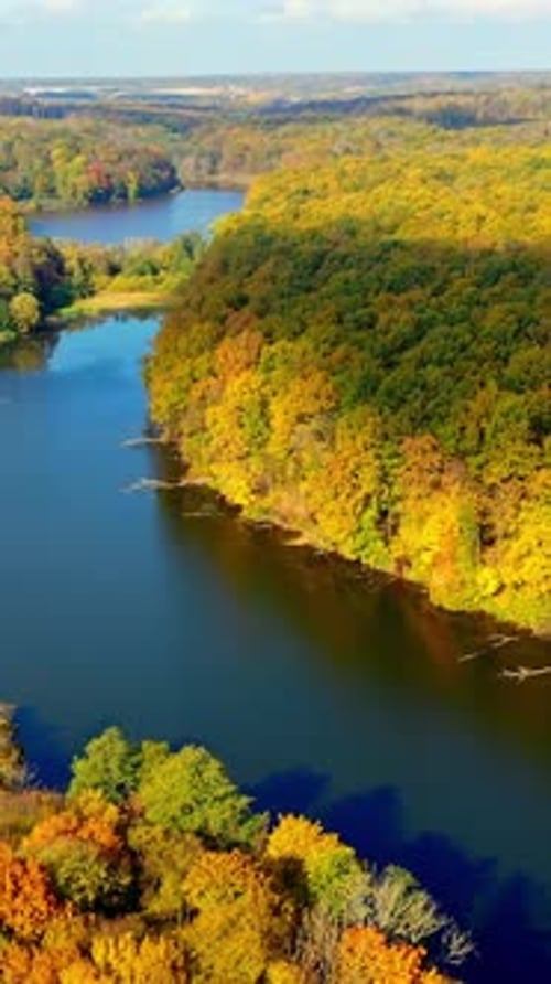 Autumn seasonal forest landscapes. Aerial view of beautiful forest river fields. Vertical video