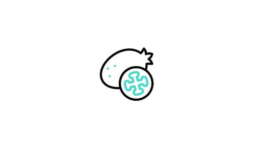Feijoa Animated Icon
