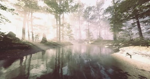 Tranquil Morning Light Filters Through Misty Forest Near a Serene Pond