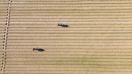 Drone Aerial View of Farmers Fertilizing Newly Planted Vegetable Fields in Rural Farmland