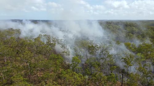 Bushfire in the Australian outback. Aerial forward clip 5