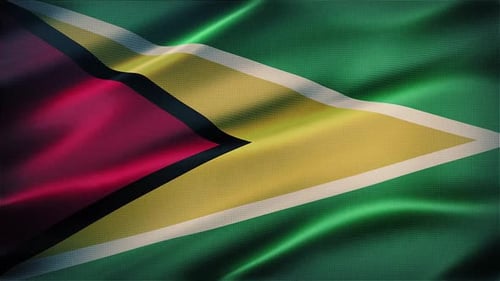 Guyana Flag Waving Seamless Loop Animation