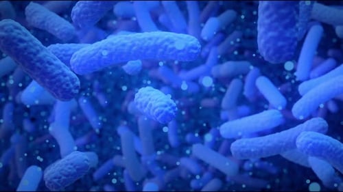 Animated Microscopic Bacteria and Cells for Medical Science
