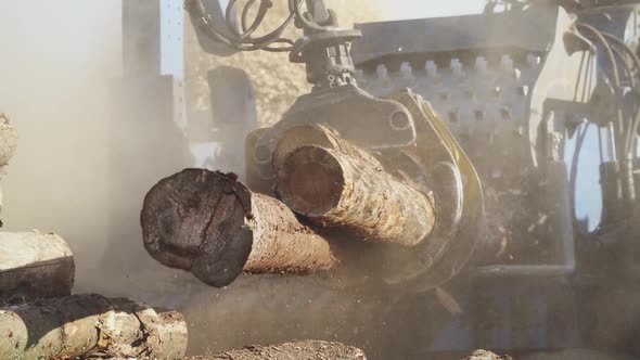 Handheld Woodworking Industry Recycling of Tree Trunks Into Splinters ...