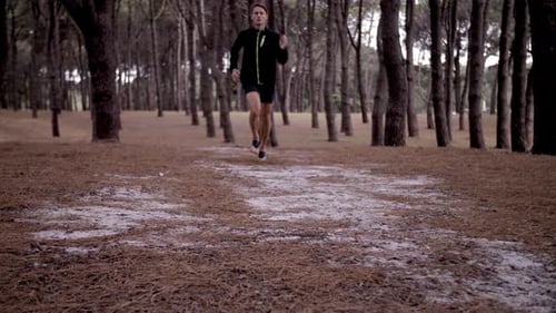 Feet of Man swiftly jogging with Pine Tree Forest Surrounding Him