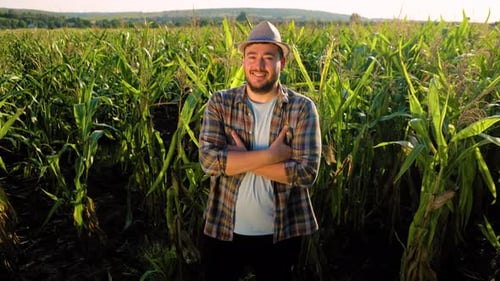 Man Smiling in a Cornfield on a Sunny Day