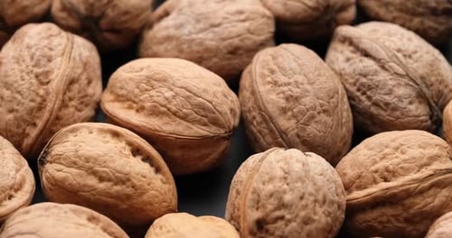 Walnuts Closeup Dolly