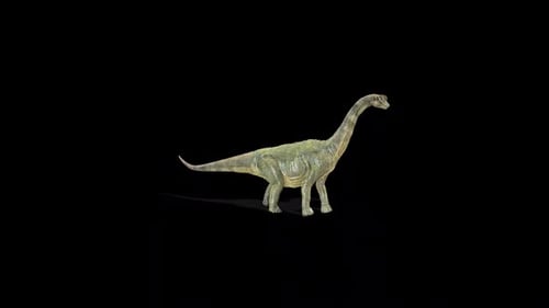 Paluxysaurus-Spaziergang