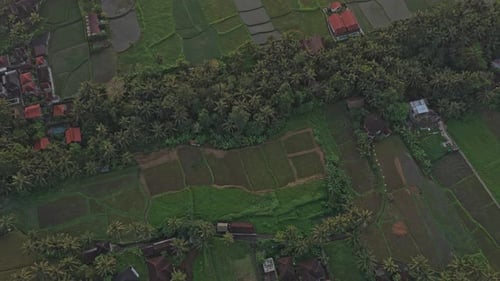 Aerial view of rice fields and village in ubud at sunset