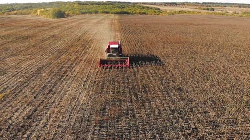 Aerial Shot of a Moving Combine Harvester Collecting Sunflower Seeds in Autumn Agriculture Food