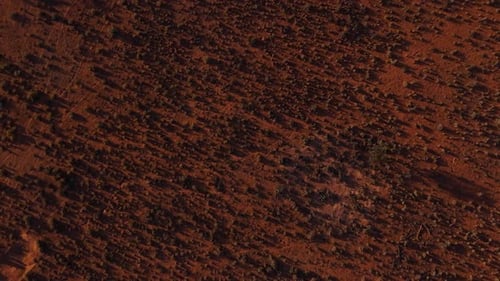 Abstract Aerial Pattern of Red Soil and Vegetation