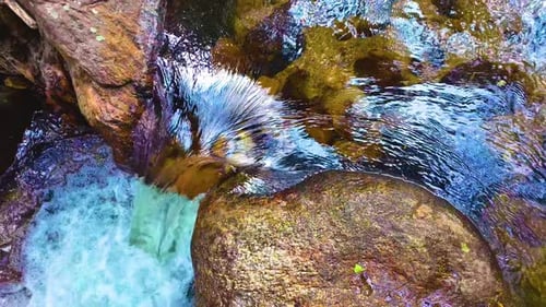 Reines Wasser, das im Wald fließt