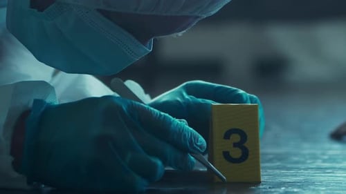 Forensic Scientist Examining Evidence