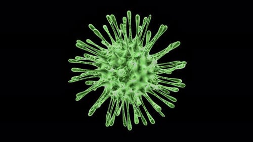 Viruses under microscope.Human immune system virus moving across screen.